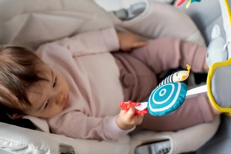 Taf Toys Koala In-Car Play Centre