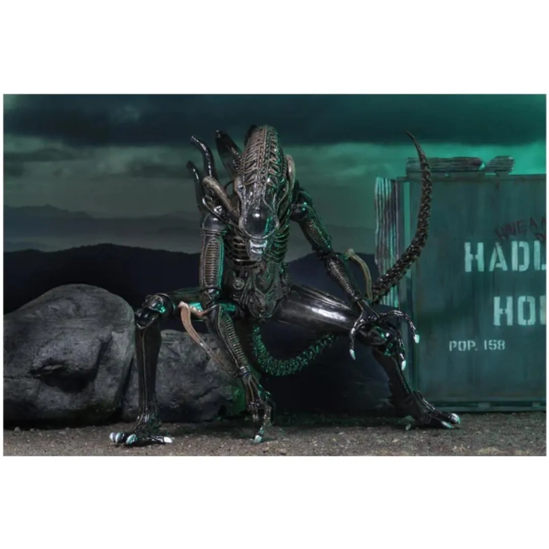 Ultimate Aliens Warriors (1986) Brown 7 Scale Action Figure by NECA