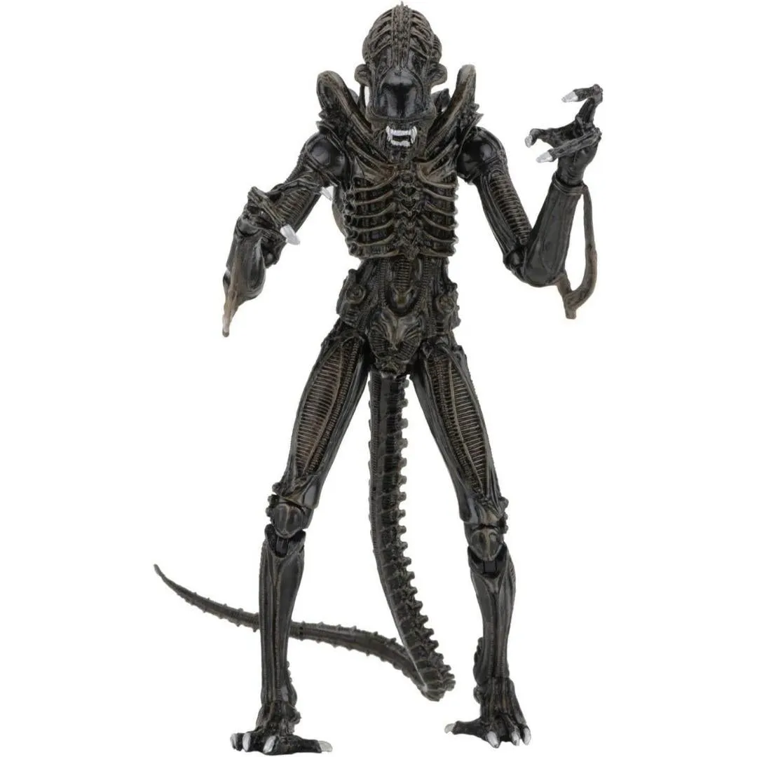 Ultimate Aliens Warriors (1986) Brown 7 Scale Action Figure by NECA