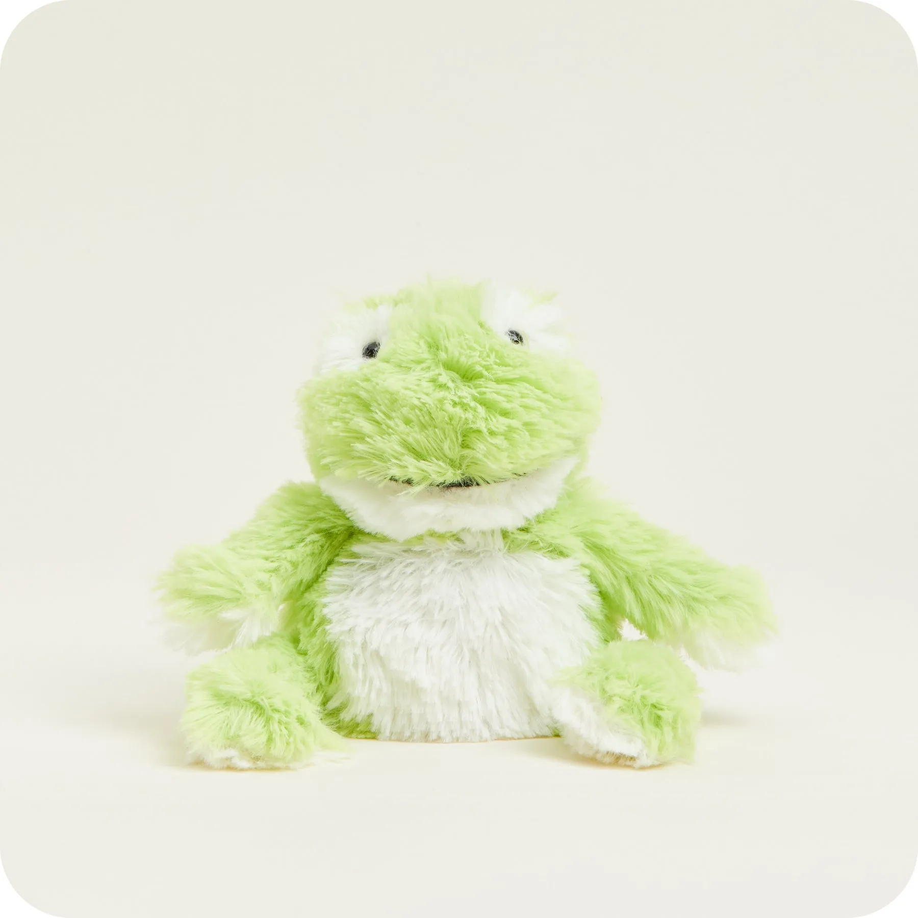 Warmies - Junior Frog Microwavable Plushie (JUN-FRO-2)